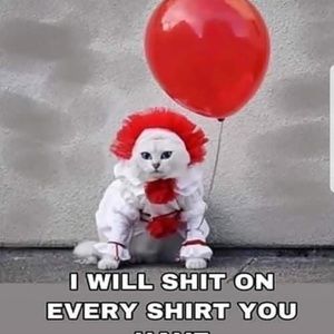 Meet your Posher, Bobby